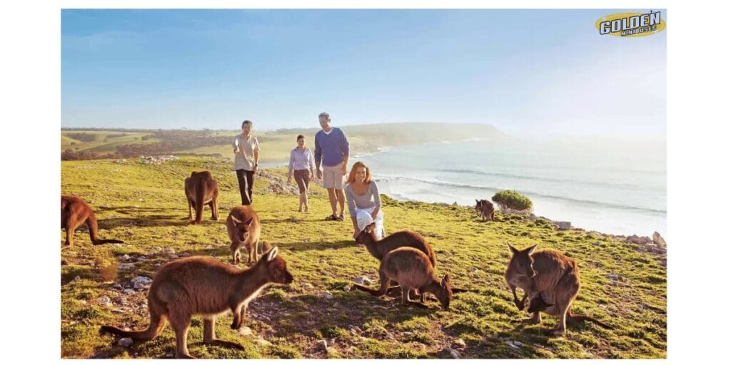 nature-and-wildlife-adventures